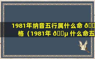 1981年纳音五行属什么命 🍀 格（1981年 🌵 什么命五行属性缺什么）